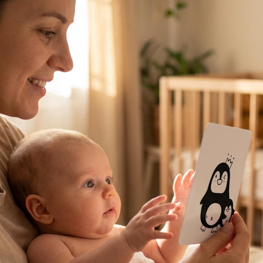 Set 32 tarjetas estimulación visual contraste para bebé Set 32 tarjetas estimulación visual contraste para bebé