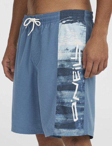 Short O'Neill Retro Print Azul Short O'Neill Retro Print Azul