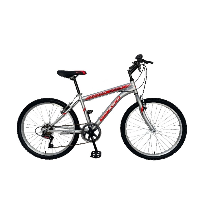 Bicicleta Baccio R.24 Niño Mtb Alpina Plata/rojo