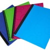 CARPETA TAMAÑO A4 CON 20 FUNDAS Y RULO COLOR CELESTE