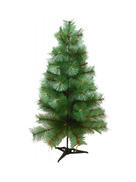 ÁRBOL SINGAPUR VERDE