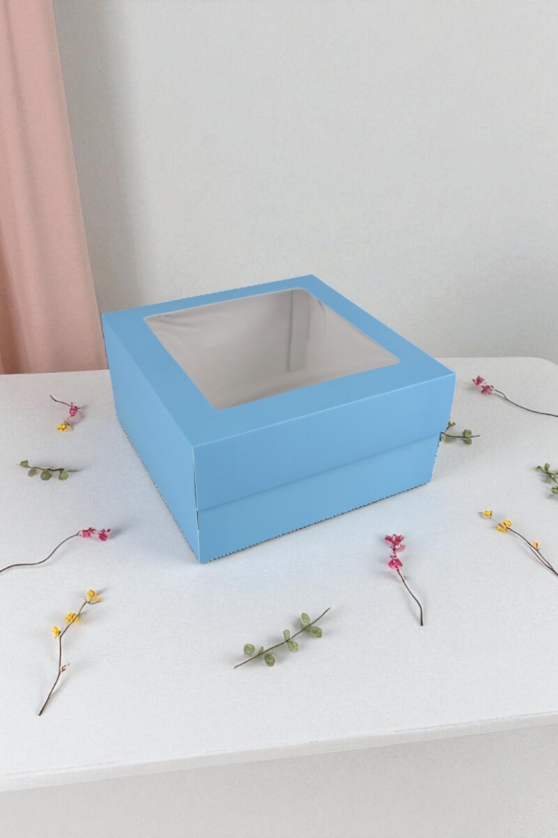 Caja flexi 51 20x20x9,5 c/visor. - CELESTE 