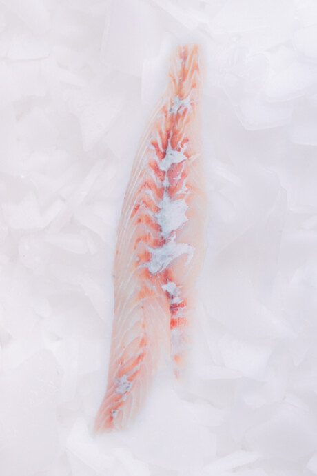 Filete de Corvina 500g