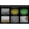 Acople Visor Nocturno Hikmicro Clip On Cheetah Acople Visor Nocturno Hikmicro Clip On Cheetah