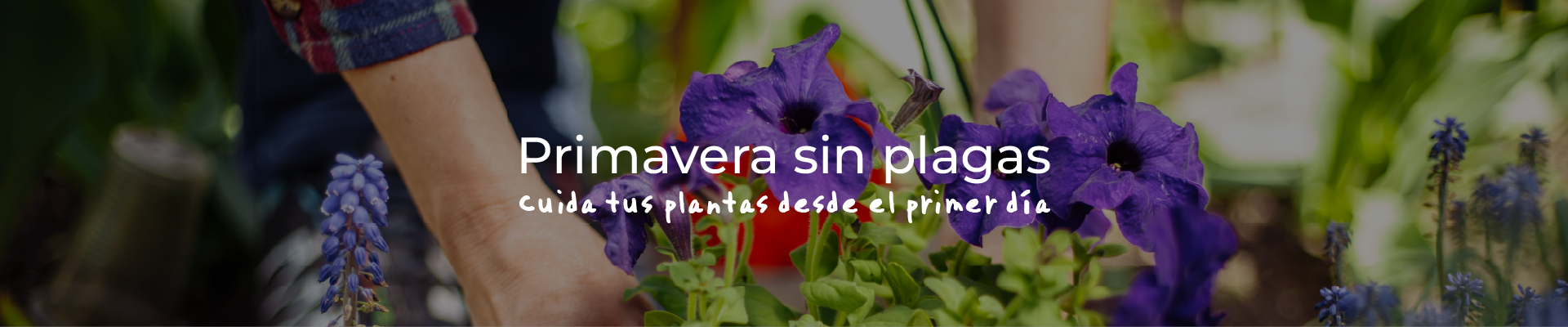 Productos de jardin