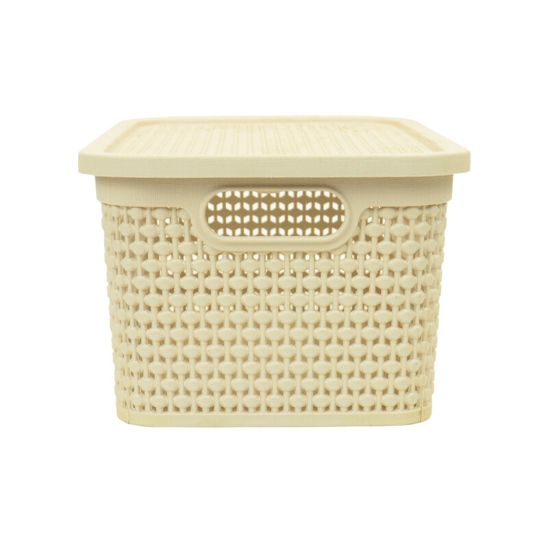 Caja simil ratán 4 lts 26,7x18x12cm BEIGE