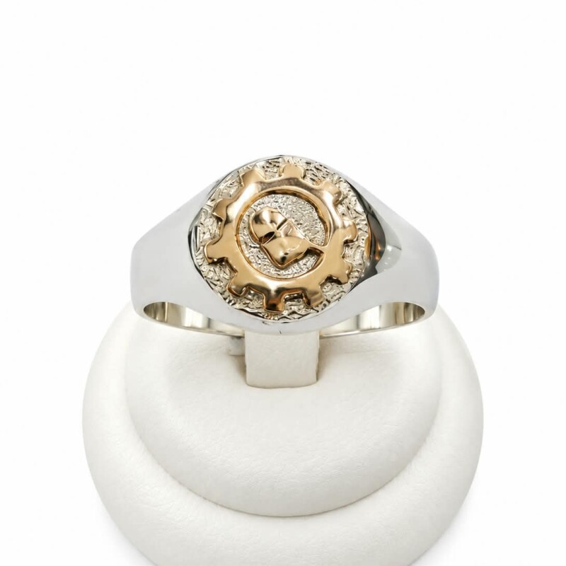 Anillo profesión Ingeniero en sistema Anillo profesión Ingeniero en sistema