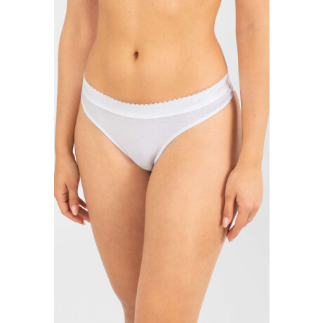 Colaless iris Blanco