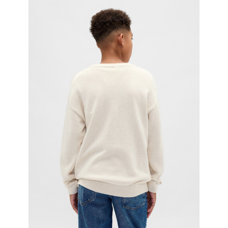 LS COTTON CREW CHINO