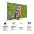 Smart Tv Samsung Qn85qn85ba 85" TV 85 SAMSUNG NEO QLED SAQN85QN85DB