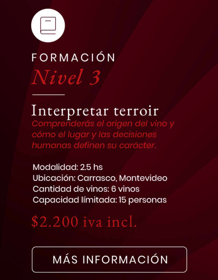 Experiencias - NIVEL 3