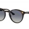 Ray-Ban Black on Gold Black Degrade