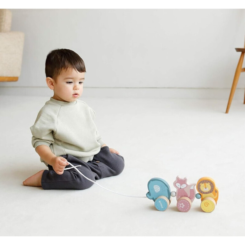 Juego de Arrastre Animales Polar B Juego de Arrastre Animales Polar B