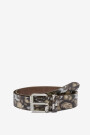 WILD DOG BELT Estampado
