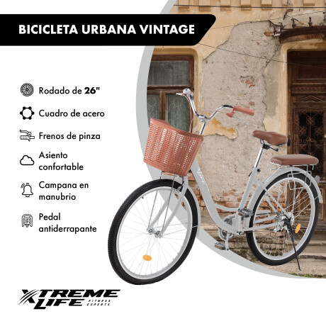 Bicicleta Urbana Rodado 26 con Canasto Vintage Gris