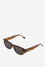 Guyam Cheetah Tortoise Crudo