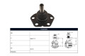 Rotula Del Fiat Ducato, Peug Boxer 87-05 Der/Izq Rotula Del Fiat Ducato, Peug Boxer 87-05 Der/Izq