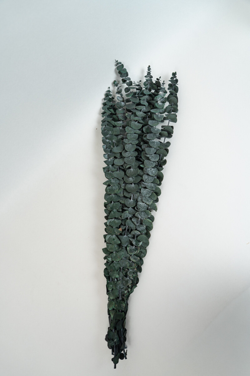 Deco Floral Hojas De Eucalipto - Color Unico 