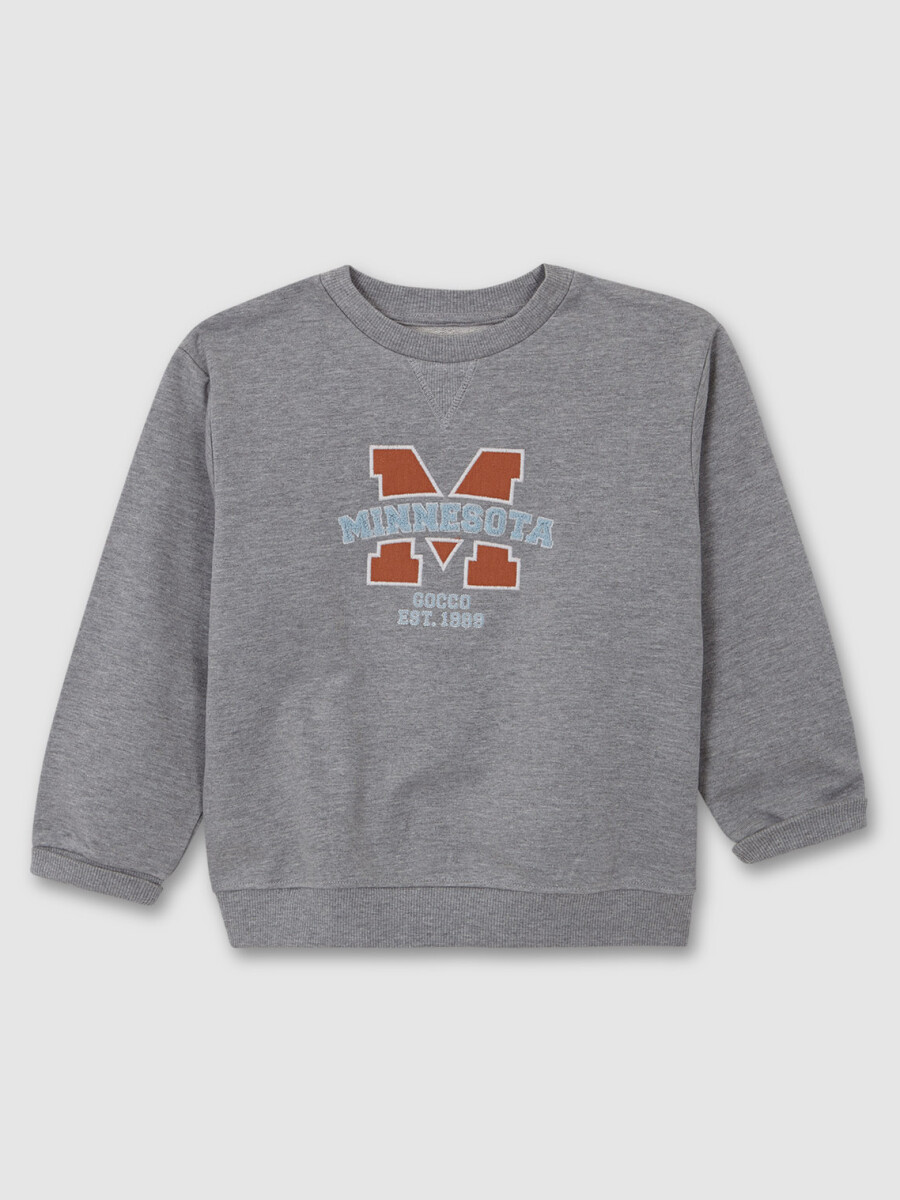 Sudadera Minnesota Gris