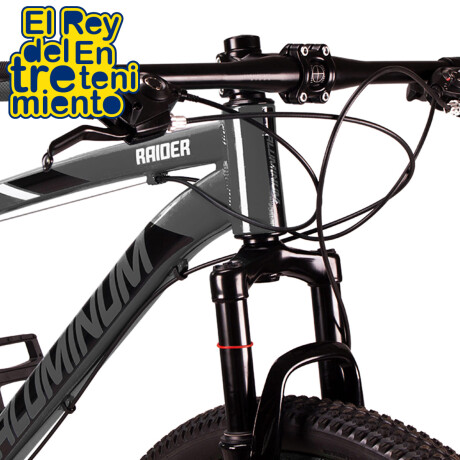 Bicicleta Montaña Rod 29 Freno Disco Aluminio Cambios Gris