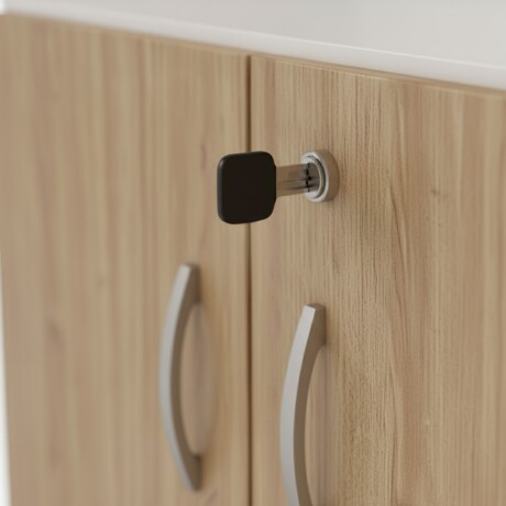 BIBLIOTECA CORPORATIVA 2 PUERTAS ESTANTERÍA ORGANIZADOR CON LLAVE BIBLIOTECA CORPORATIVA 2 PUERTAS ESTANTERÍA ORGANIZADOR CON LLAVE