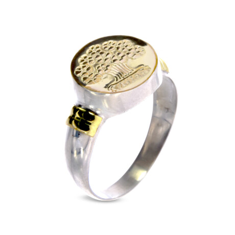 Anillo de plata 925 y double en oro 18 ktes, ÁRBOL DE LA VIDA. Anillo de plata 925 y double en oro 18 ktes, ÁRBOL DE LA VIDA.