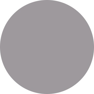 6074 Sol Plateado