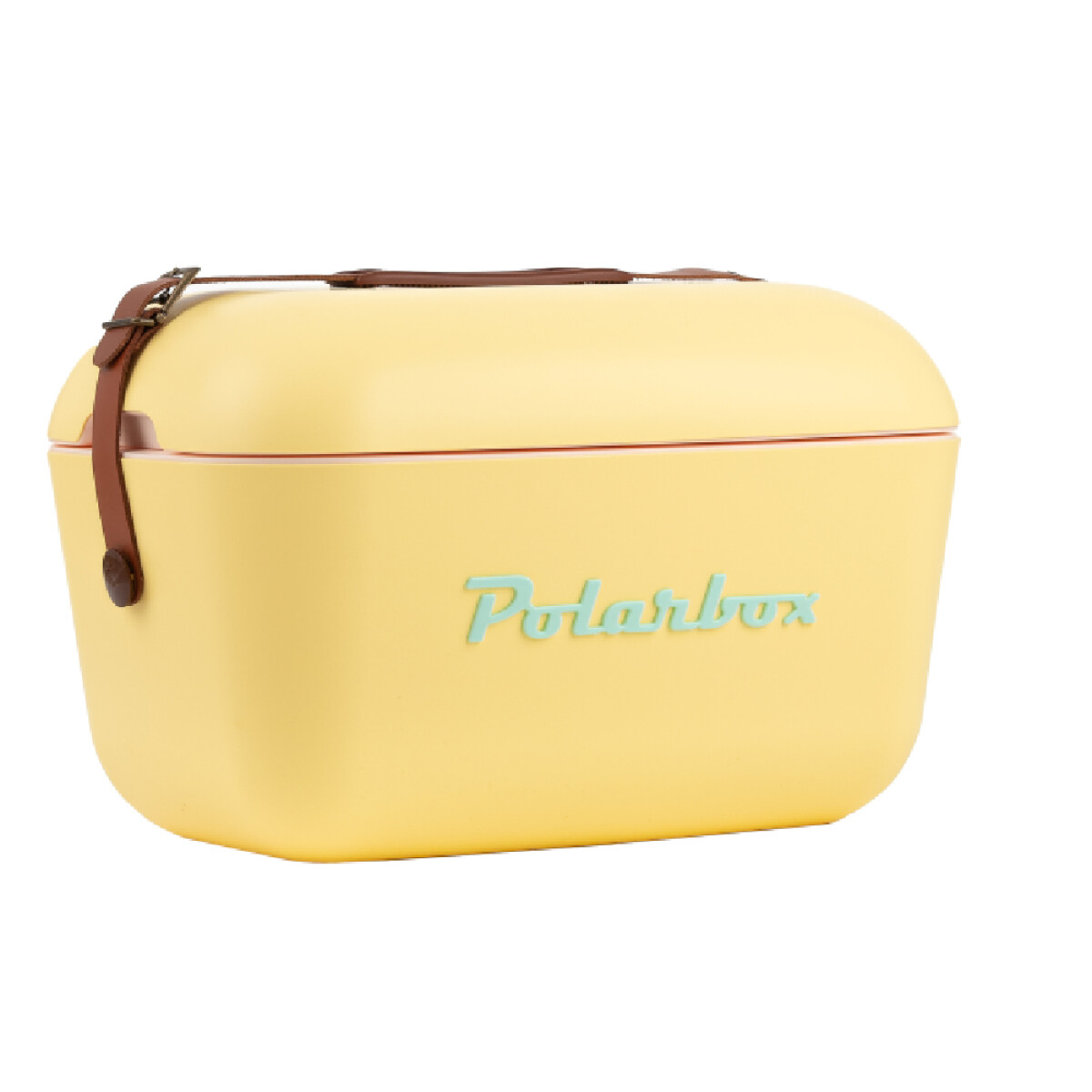 Conservadora Polarbox Classic Retro Vintage 20 L - AMARILLO 