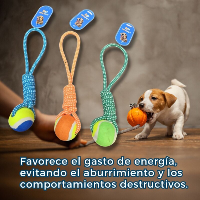 JUGUETE PELOTA CON CUERDA JUGUETE PELOTA CON CUERDA