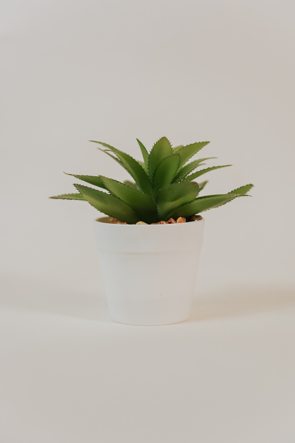 Planta Suculenta Artificial Estampado 2