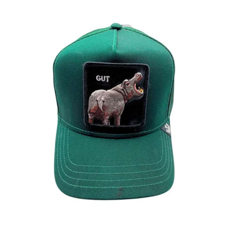 Gorro Cap Goorin The Hipo Gut Verde