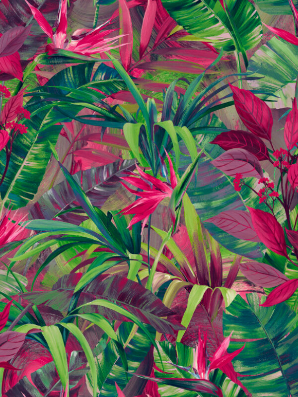 COLECCIÓN JUNGLE FEVER - PARADISE FLOWER - ORIGEN BELGA - N/A