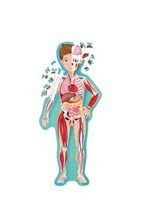 EL CUERPO HUMANO: VIAJA, CONOCE, EXPLORA EL CUERPO HUMANO: VIAJA, CONOCE, EXPLORA