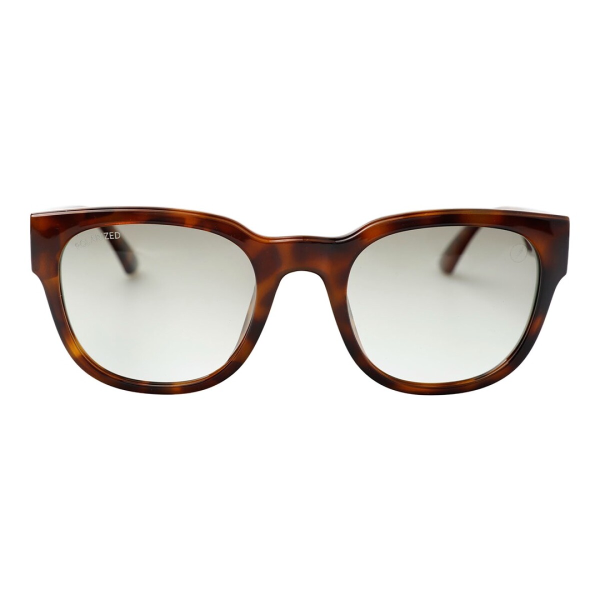 Lentes de Sol Chilli Beans Osaka - Animal Print 