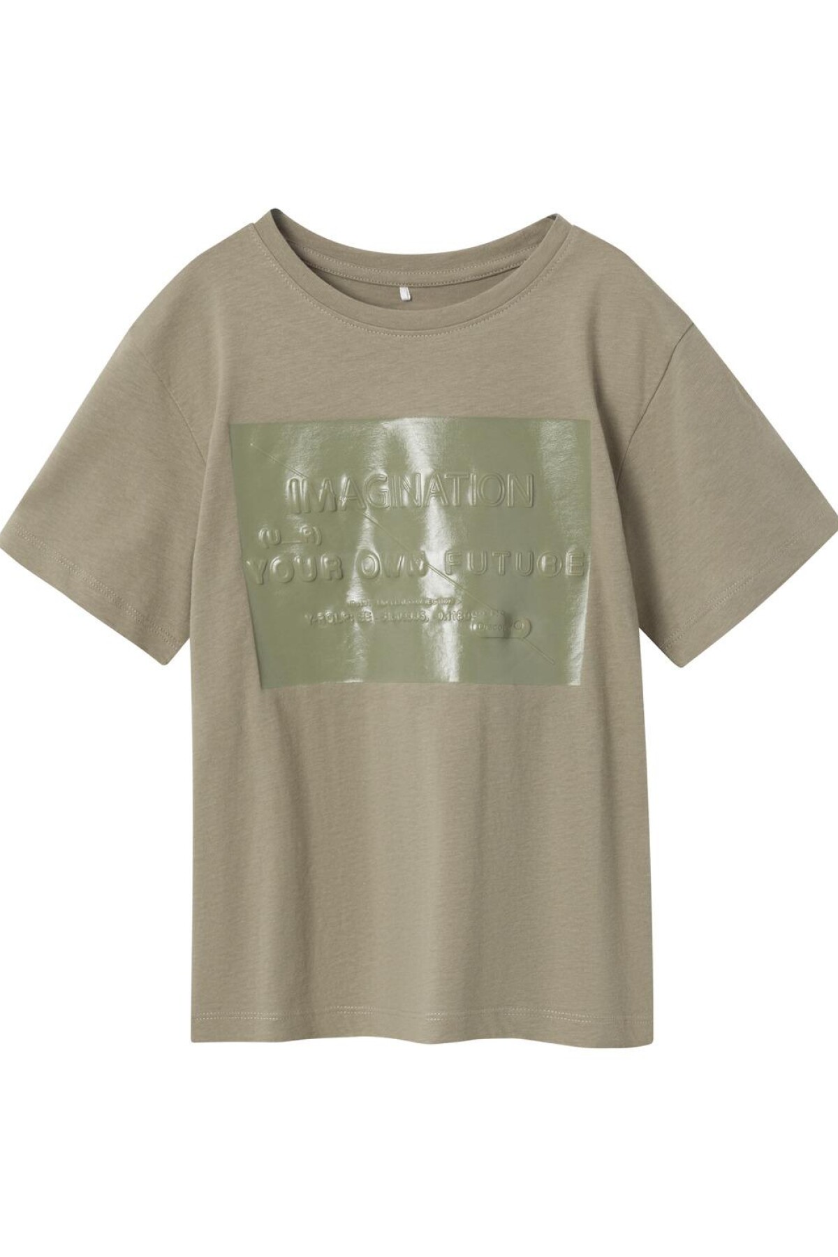 Camiseta Jeiner Dried Sage