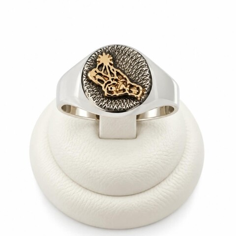 Anillo profesión partera Anillo profesión partera