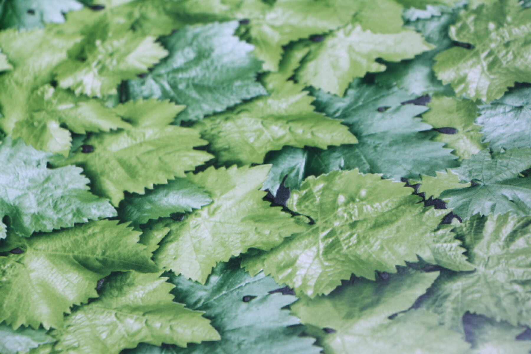 PAPEL ADHESIVO CONTACT X METRO - COLOR 10195 LEAVES 