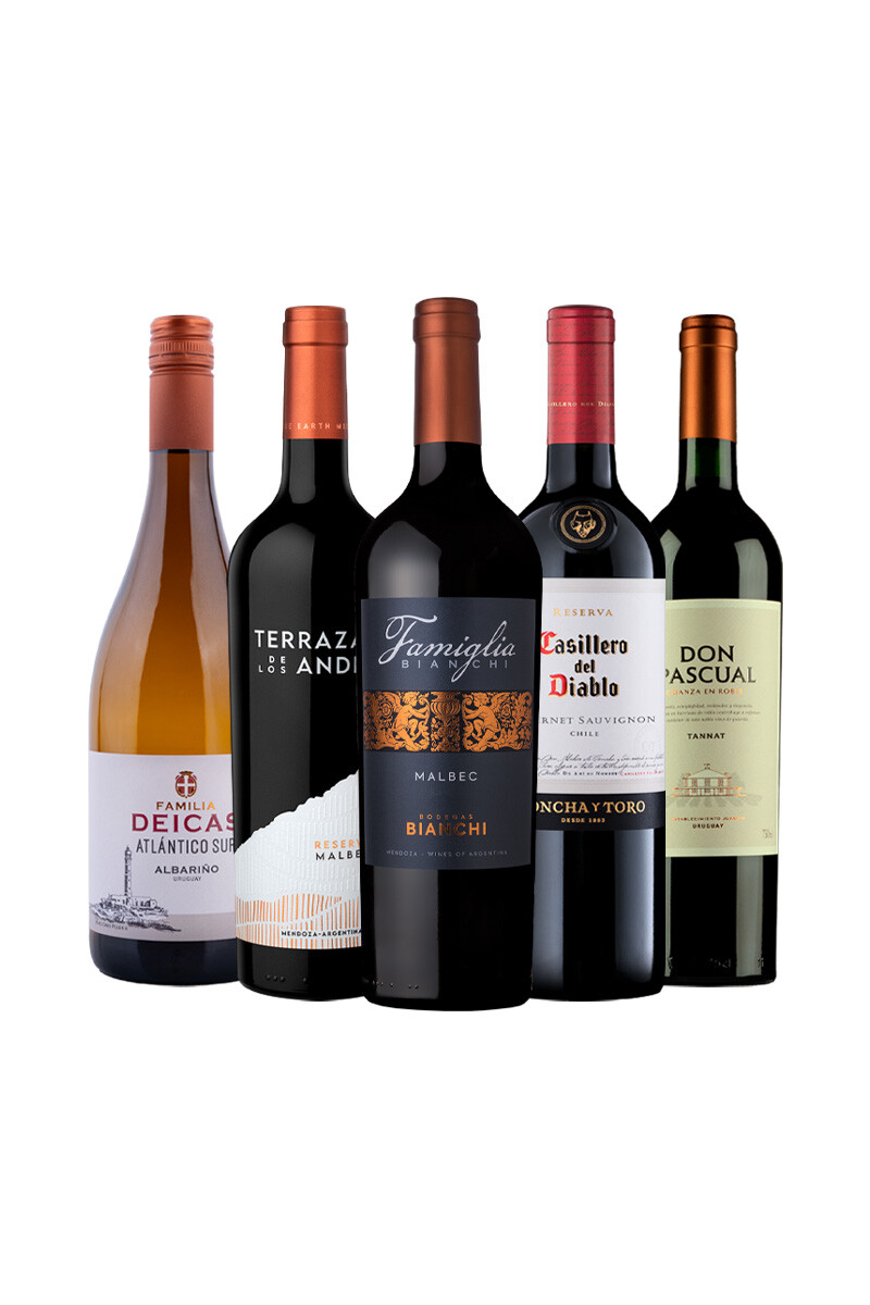 Pack Selección Expresiones del vino x5 vinos Identidad y Expresión 