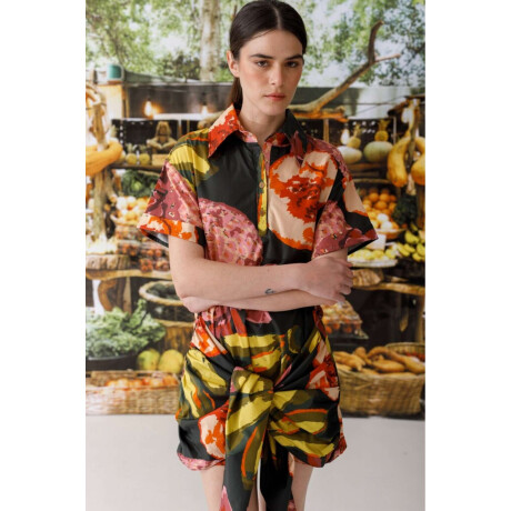 Pre Venta Vestido Kiwi Print Multifruit