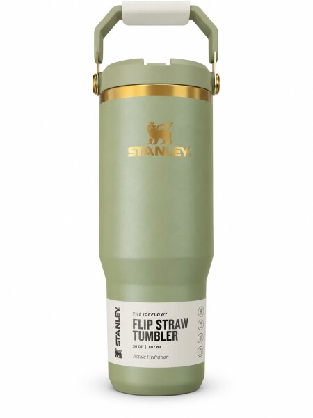 Botella FLIP STRAW TUMBLER Verde combinado con Dorado
