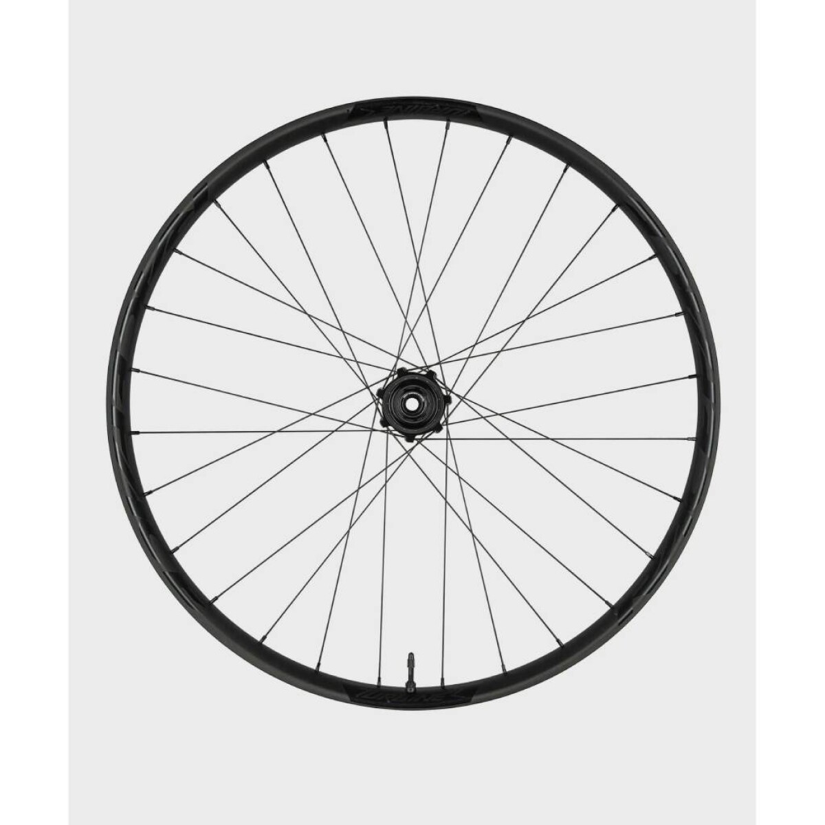 Rueda Raceface Turbine 30 15x110 29 Delantera 