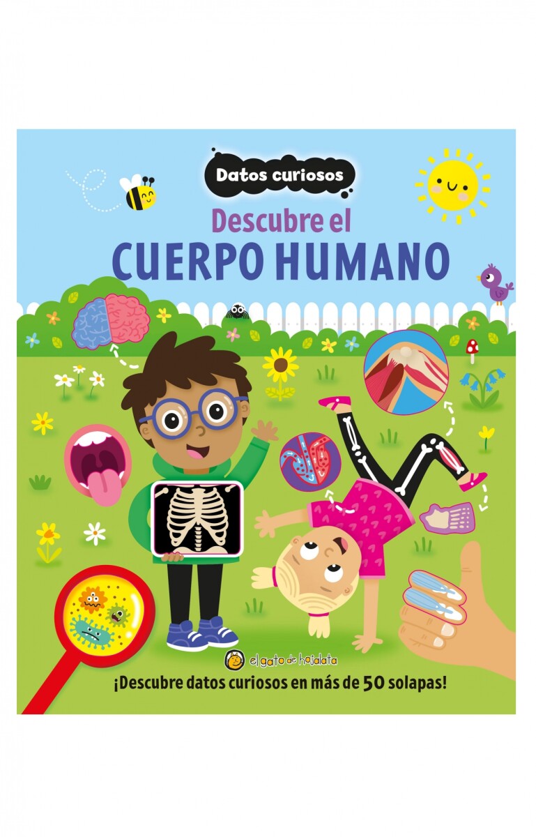 Datos curiosos. Descubre el cuerpo humano 