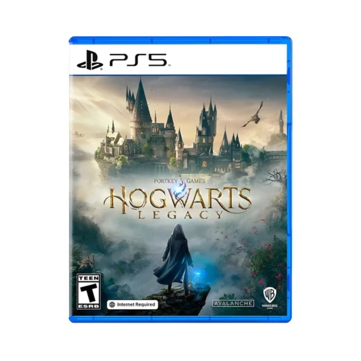 PS5 Hogwarts Legacy PS5 