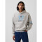 FIFA WORLD CUP HOODIES ARGENTINA