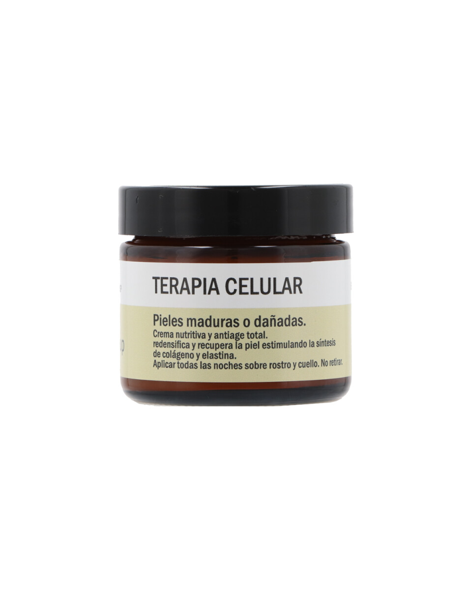 Terapia Celular - Tratamiento Antiage Nocturno 