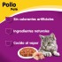 WHISKAS PATE LATA ALIMENTO HUMEDO POLLO 340 GRS