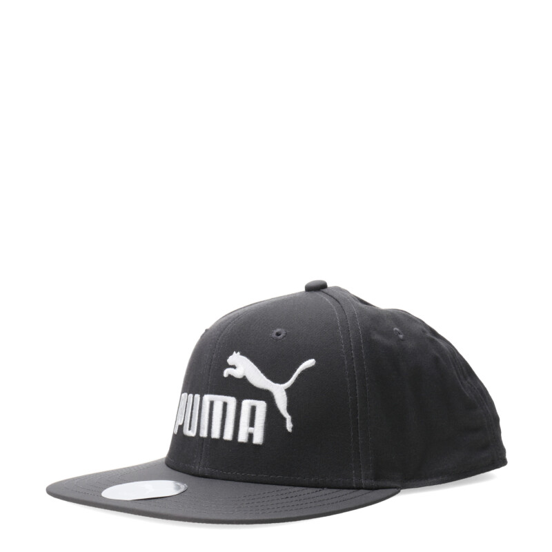 Gorro Puma Logo Flat Brim Gris