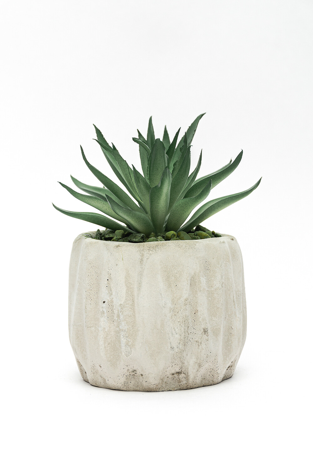 Planta Lavi Color Unico