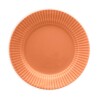 Plato postre Salmao 18 cm BIONA Plato postre Salmao 18 cm BIONA