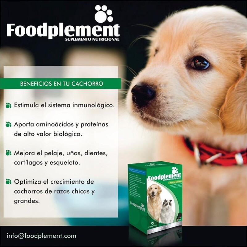 SUPLEMENTO NUTRICIONAL FOODPLEMENT CAJA DE 250 G SUPLEMENTO NUTRICIONAL FOODPLEMENT CAJA DE 250 G